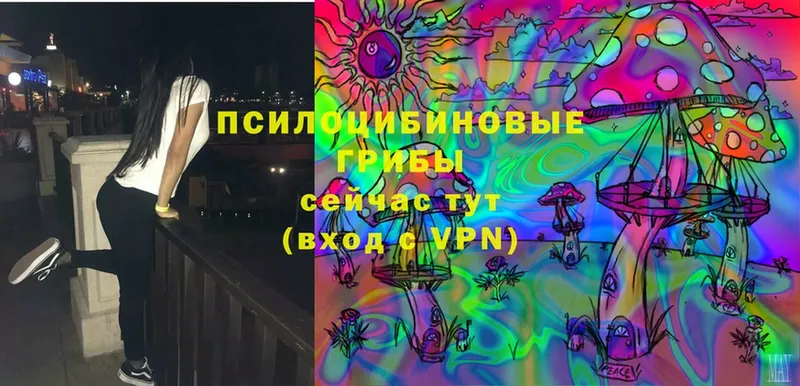 Псилоцибиновые грибы MAGIC MUSHROOMS  Дмитриев 